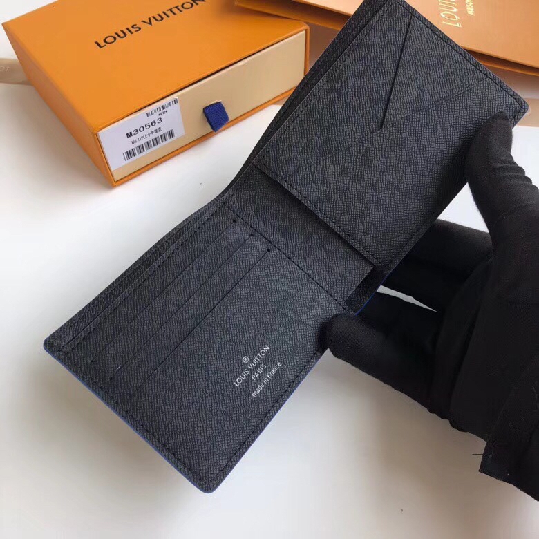 Louis Vuitton Noir Taiga Leather Multiple Wallet